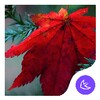 Maple leaf-APUS Launcher theme icon