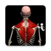Anatomy by Muscle & Motion icon