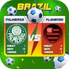Icono de Campeonato Brasileiro Futebol