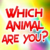 Animal Quizz icon