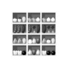 Fruit Sort Puzzle 아이콘