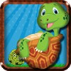 fanny turtle icon