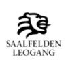 Saalfelden Leogangアイコン