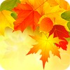 Biểu tượng Autumn Wallpapers 4K