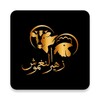 زهير النغموش icon