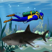 Shark Attack android app icon