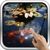 Koi Fish in the Pond icon