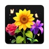 Икона Blossom Bliss