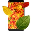 Autumn leaves 3D LWP icon