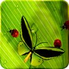 Simpatici insetti gratis icon
