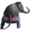 Dancing Elephant icon
