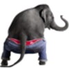 Icona di Dancing Elephant