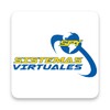 Sistemas Virtuales icon
