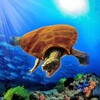 Icon von Archelon Simulator