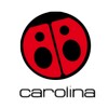 Radio Carolina 99.3 icon