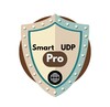 SMART UDP PRO icon