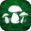 Real Mushroom Hunting Simulator 3D icon