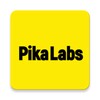 Ikon Pika Labs