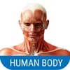 Biểu tượng Human Body System