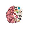 Biểu tượng Brain Test 5