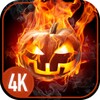 Halloween wallpapers icon