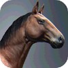 Farmer Riding Horse icon
