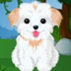 cute puppy caring icon