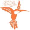 SQL Recipes icon