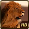 Angry Lion Wild Simulator icon