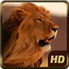 Icono de Angry Lion Wild Simulator