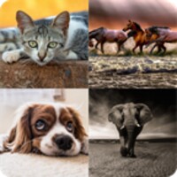 Hybrid Animals