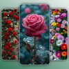 Icono de Flower Wallpaper