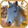 Horse Puzzles Collection icon