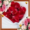 Love Romantic Dreams LWP icon