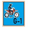 Icono de Motorbike G-1