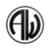 Afterworld icon