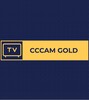 Cccam gold icon