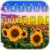 Sunflower Field Theme icon