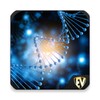 Icono de Microbiology Dictionary : Stud