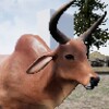 Happy Rhino Simulator icon
