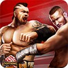 Champion Fight 3D icon