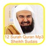 Sheikh Sudais 12 Surah Quran icon