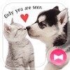 Icono de Puppy and Kitten +HOME