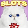 Ikon Casino Cash Cats