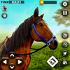 Icono de Equestrian Horse Riding Games