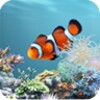 أيقونة aniPet Aquarium LiveWallpaper