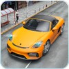 Epic Car Simulator 3D: 911 Gt icon