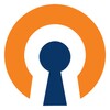 OpenVPN 图标