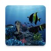 Icono de Sea Life