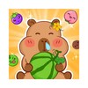 Icono de Fruit Drop Game